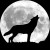 vieux loups
