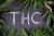 Health-Benefits-THC-In-article_image_1